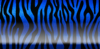 Zebra - Blue