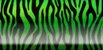Zebra - Green