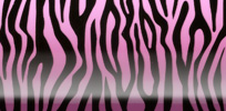 Zebra - Pink