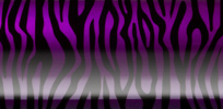 Zebra - Purple