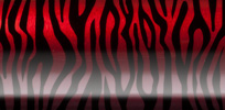 Zebra - Red